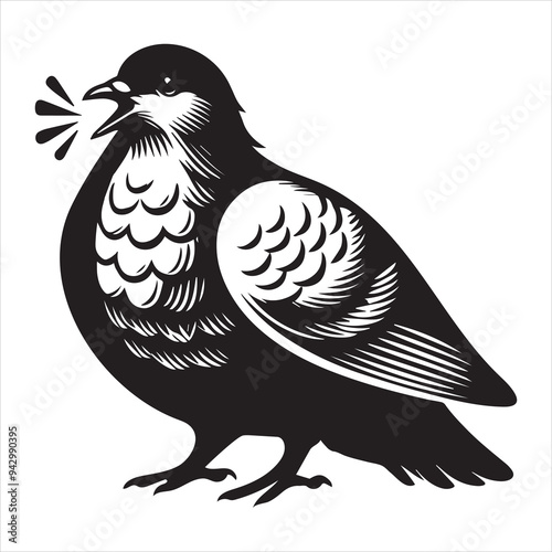 Rock Dove Silhouette,  Pigeon Bird Clipart -  Columba livia Design - Rock Dove cooing chest puffed out Illustration in black and white