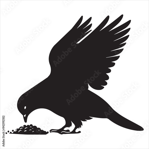 Rock Dove Silhouette,  Pigeon Bird Clipart - Rock Dove pecking at food Illustration in black and white