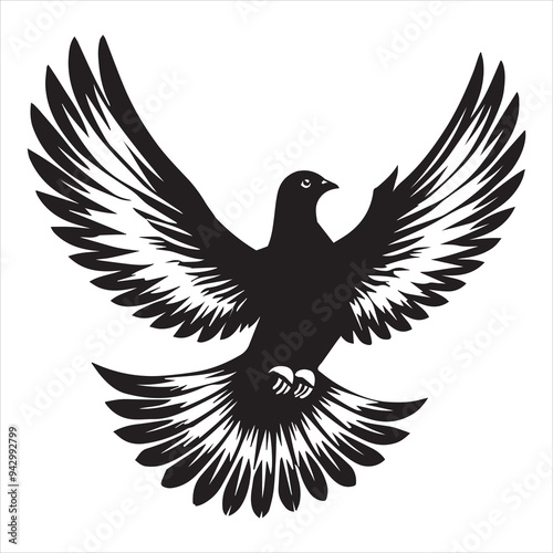 Rock Dove Silhouette,  Pigeon Bird Clipart - Rock Dove soaring high Illustration in black and white
