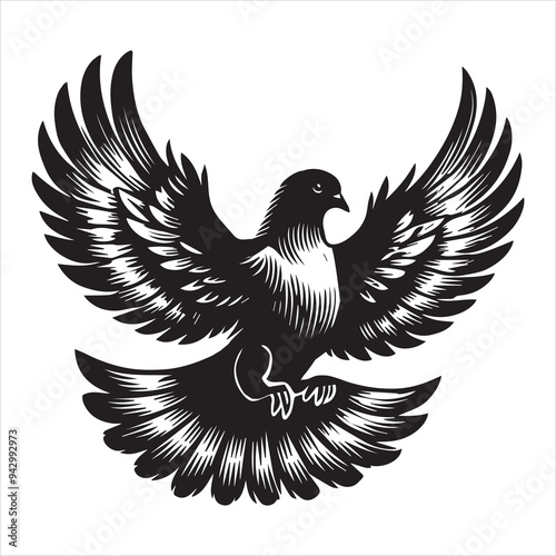 Rock Dove Silhouette,  Pigeon Bird Clipart - Rock Dove spreading wings in display Illustration in black and white