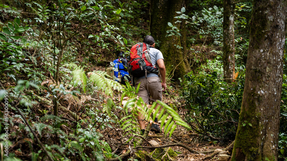Back view of unrecognizable male hiker in Pico Blanco forest Back view of unrecognizable male hiker in Pico Blanco forest