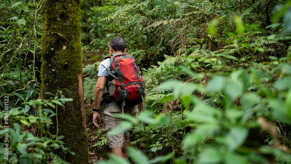Man exploring lush green forest at Pico Blanco Man exploring lush green forest at Pico Blanco