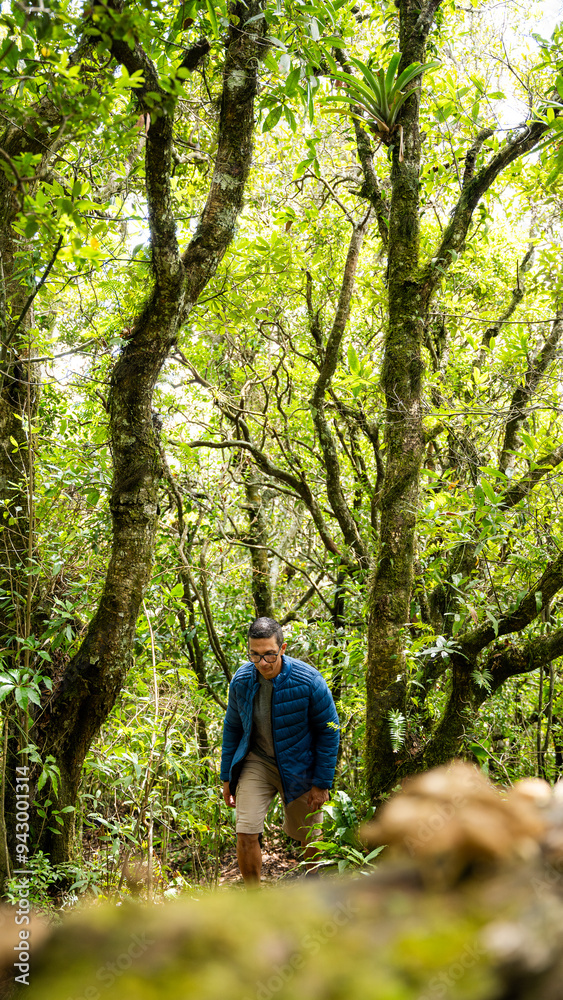 Hiking through dense foliage at Pico Blanco Hiking through dense foliage at Pico Blanco