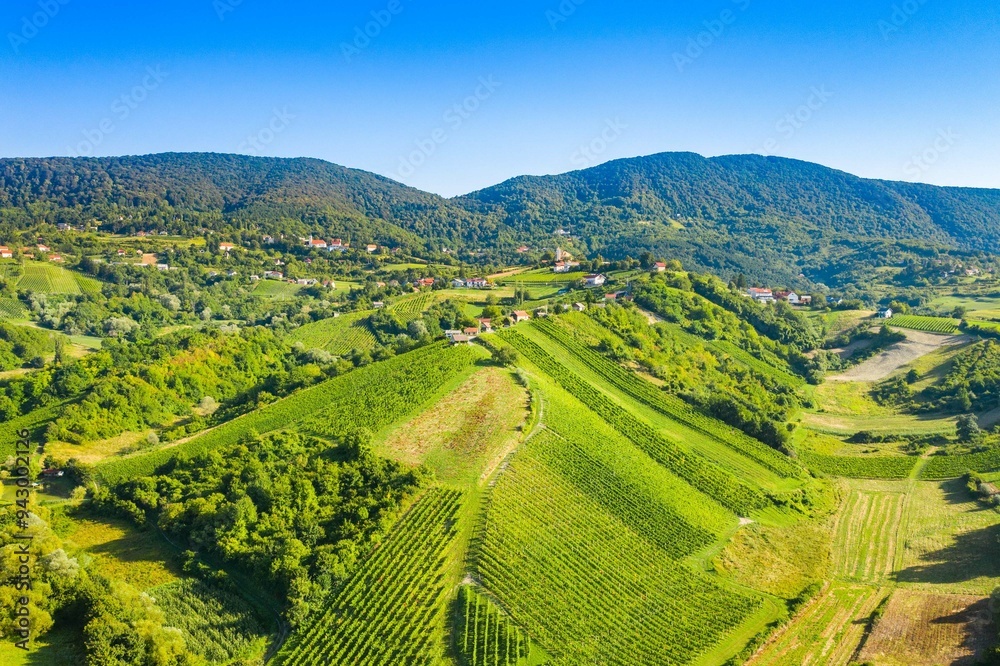 Panoramic view of vineyards in Plesivica region in Croatia