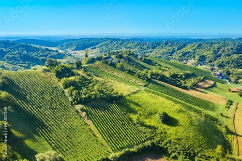 Panoramic view of vineyards in Plesivica region in Croatia photo