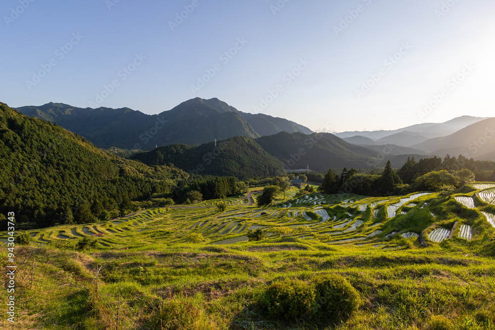 Obraz premium 夕暮れ時の丸山千枚田