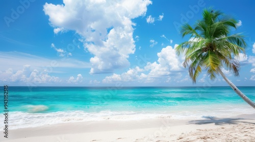 Palm tree on a tropical beach with turquoise waters, illustrating the allure of island getaways.