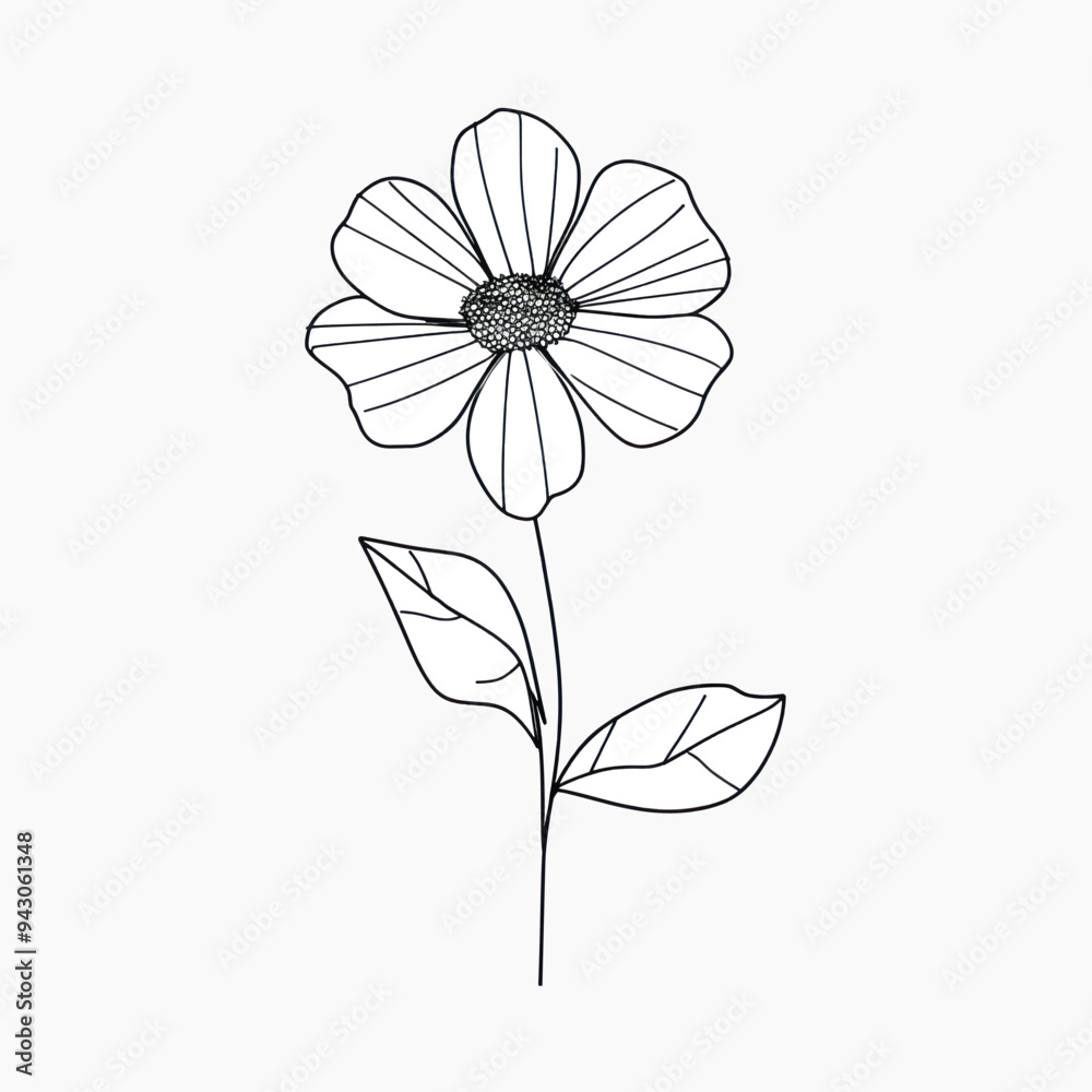art, aster, asteraceae, blossom, botanical, botanical sketch, daisy, drawing, flower, flower illustration, illustrated, illustration, line, line drawing, minimalist, minimalist art, plant, simple, sim art, aster, asteraceae, blossom, botanical, botanical sketch, daisy, drawing, flower, flower illustration, illustrated, illustration, line, line drawing, minimalist, minimalist art, plant, simple, sim