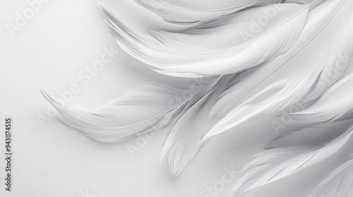 White feather background