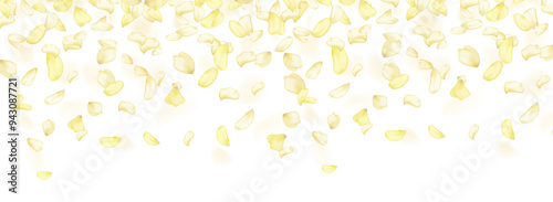 Yellow falling rose or sunflowers petals.Transparent panoramic horizontal background.Amber flower spring template.