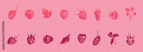 Colorful raspberry icons. Color raspberries set of vector symbols. Raspberries logo template and blackberries drawings. Pink berry sketches. Blackberry label. Hand drawn mulberry illustrations.