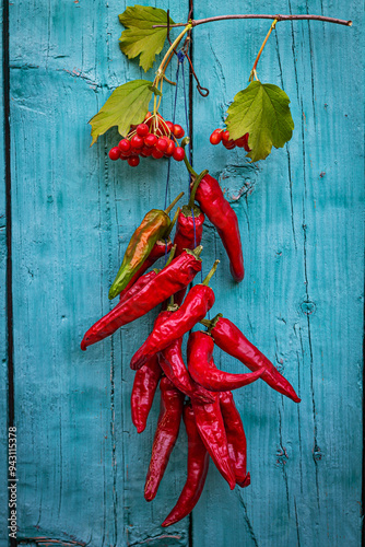 Color vertical photo, a bunch of red hot chili peppers and red viburnum berries, on a blue wooden door background.