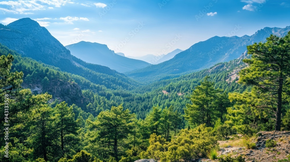 A mountain range with a lush green forest in between A mountain range with a lush green forest in between