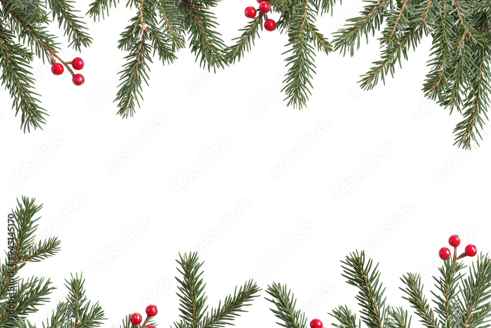 Festive Pine Boughs with Red Berries Framing a Blank Space, cut out transparent isolated on white background PNG Festive Pine Boughs with Red Berries Framing a Blank Space, cut out transparent isolated on white background PNG