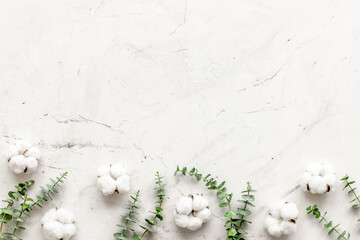 Flowers border with green eucalyptus and dry cotton on white stone background top view space for text. Blog mockup