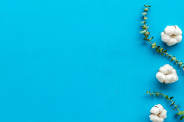 Flowers border with green eucalyptus branches and dry cotton flowers on blue background top view copy space