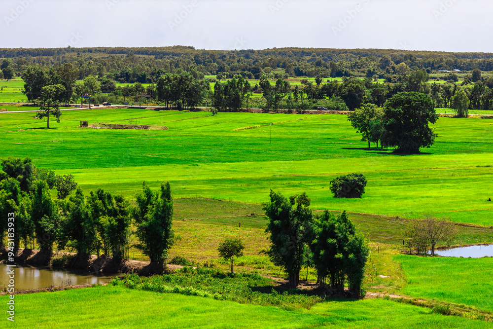 Fototapeta premium Background of high angle view from the top of the mountain where you can see the grassland, rice fields, large reservoir and clear sky during the adventure travel.