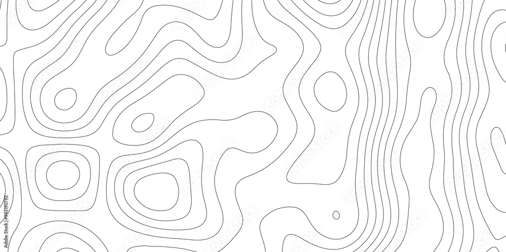 The White Vector: Contour Mapping in Topography and Topology The White Vector: Contour Mapping in Topography and Topology