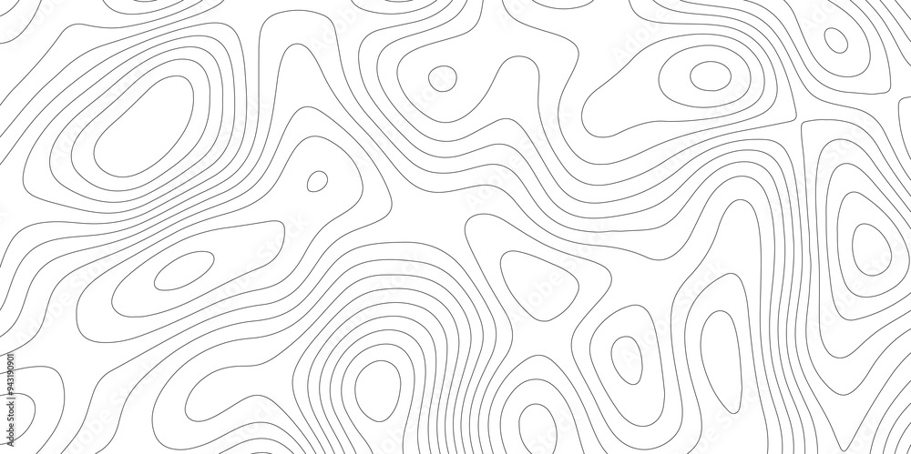 The White Vector: Contour Mapping in Topography and Topology The White Vector: Contour Mapping in Topography and Topology
