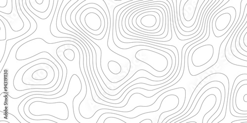 Mapping in White: The Topographical Topology of Vectors