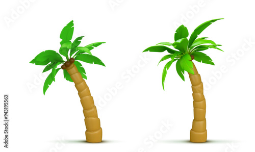 Palm tree with coconut. Realistic 3d vector illustration set of exotic tropical plant with green leaves. Jungle woods in different angles of view for summer sea and ocean beach vacation concept.