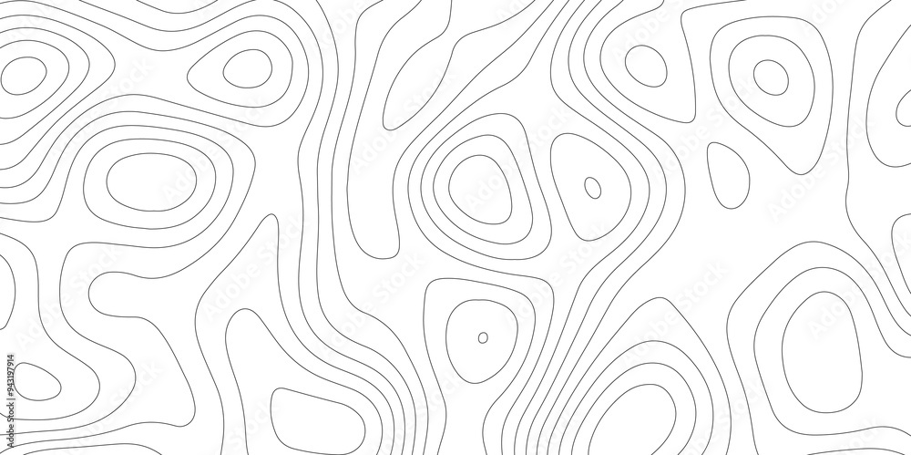 Mapping in White: The Topographical Topology of Vectors Mapping in White: The Topographical Topology of Vectors