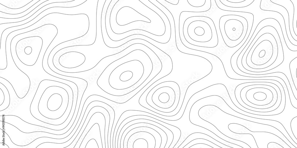 White Spaces: The Topographical and Topological Contours White Spaces: The Topographical and Topological Contours