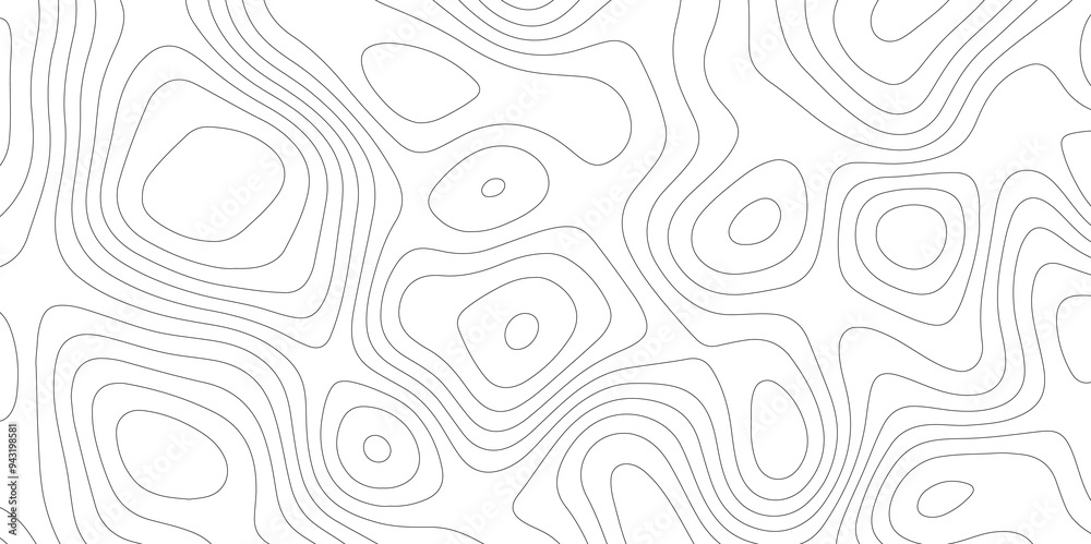 White Spaces: The Topographical and Topological Contours White Spaces: The Topographical and Topological Contours