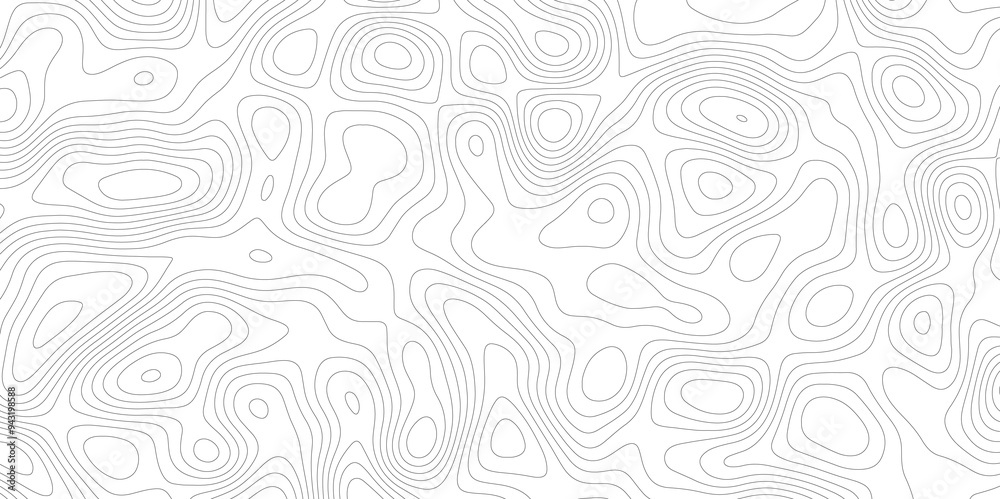 White Spaces: The Topographical and Topological Contours White Spaces: The Topographical and Topological Contours