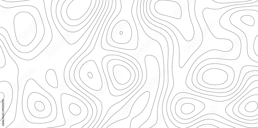 Vector Mapping: Contours of Topography and Topology Vector Mapping: Contours of Topography and Topology