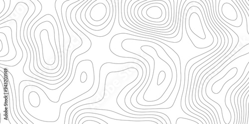 Vector Mapping: Contours of Topography and Topology