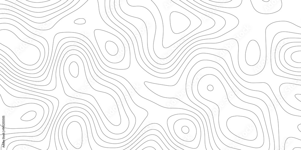 The Art of Mapping: Topology and Topography in White Vectors