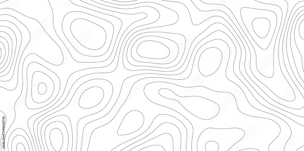The Art of Mapping: Topology and Topography in White Vectors The Art of Mapping: Topology and Topography in White Vectors