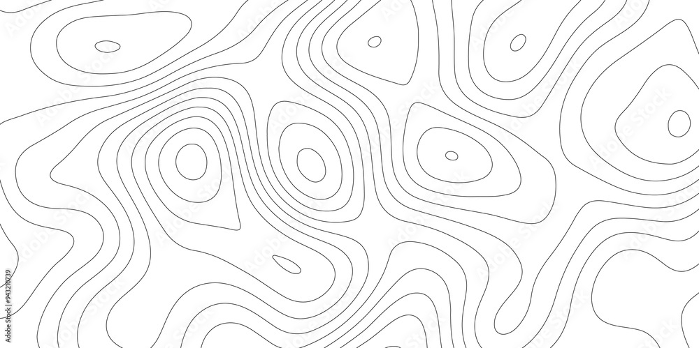White Vector: Mapping the Contours of Topography and Topology White Vector: Mapping the Contours of Topography and Topology