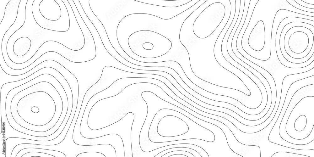 White Vector: Mapping the Contours of Topography and Topology White Vector: Mapping the Contours of Topography and Topology