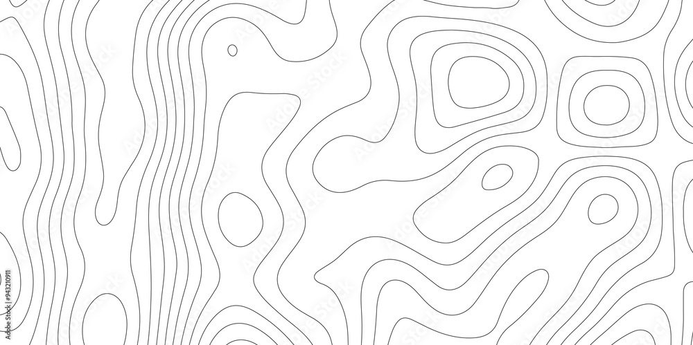 White Vector: Mapping the Contours of Topography and Topology White Vector: Mapping the Contours of Topography and Topology