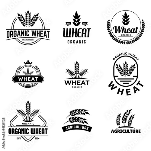 Set of Wheat or grain logo vector logo design template