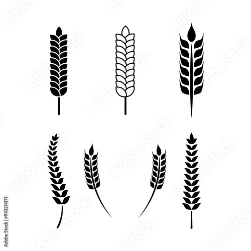 Set of Wheat or grain icon vector logo design template