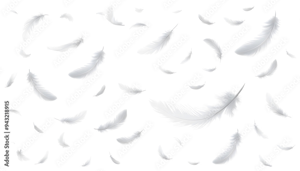 Fototapeta premium Soft White Feathers in Motion on Clear Transparent Background