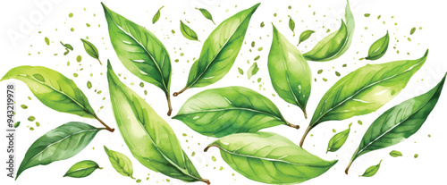 Green tea leaves pattern background2