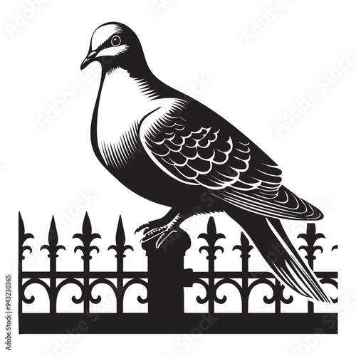 Streptopelia Decaocto Clipart - Eurasian collared Dove Silhouette -   Eurasian collared dove sitting on a fence rail Illustration in black and white