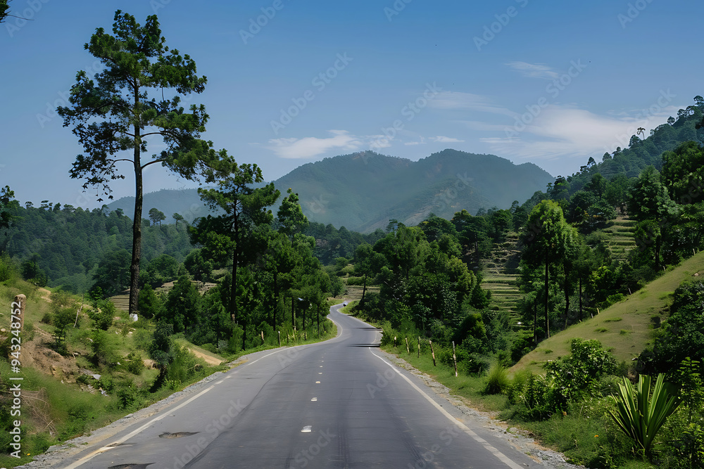 Fototapeta premium road