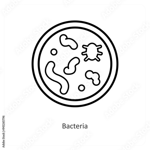 Bacteria