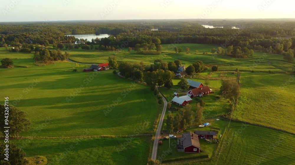 Aerial view of scandinavian, swedish rural landscape, late summer, red houses, green fields, forest, evening warm light