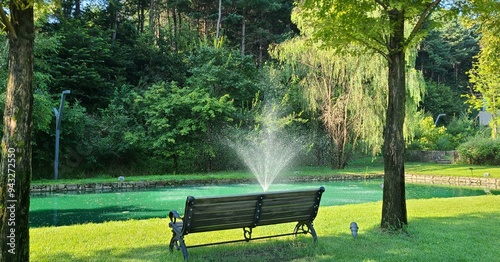 The bench in the park