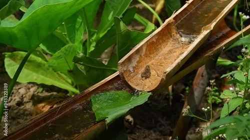 water channels or water gutters made of bamboo

 photo