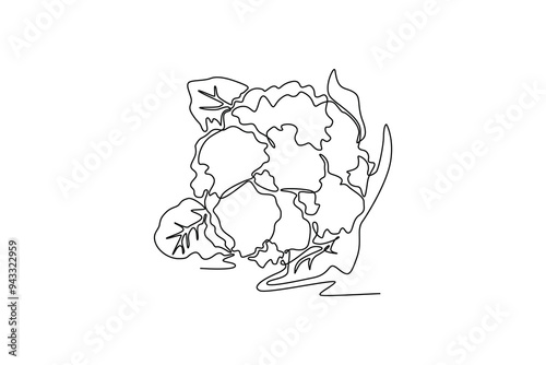 Continuous one line drawing of whole healthy organic cauliflower for cooking meal logo identity. Fresh brassica oleracea concept for vegetable icon. Single line draw design vector graphic illustration