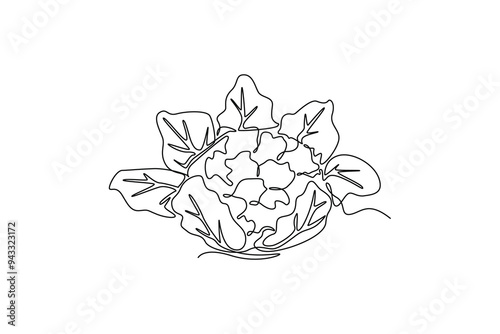Continuous one line drawing of whole healthy organic cauliflower for harvesting logo identity. Fresh brassica oleracea concept for vegetable icon. Single line draw design vector graphic illustration