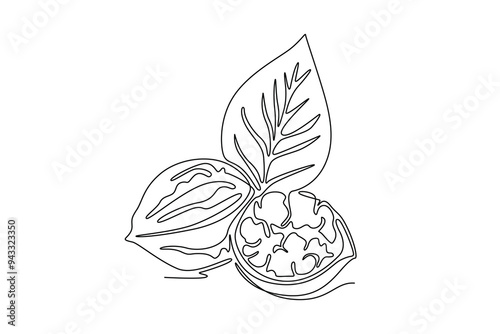 Single continuous line drawing whole healthy organic walnut and leaves for orchard logo identity. Fresh nutshell concept for healthy seed icon. Dynamic one line draw graphic design vector illustration