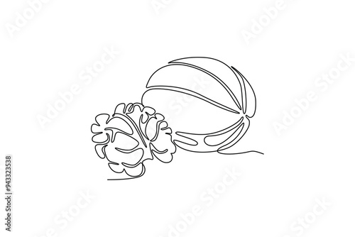 Continuous one line drawing of whole and peeled healthy organic walnut for plantation logo identity. Fresh nutshell concept for healthy seed icon. Single line draw design vector graphic illustration